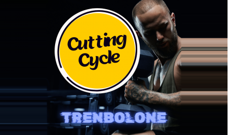Trenbolone Cycle for Cutting: Burn Fat and Maintain Muscle