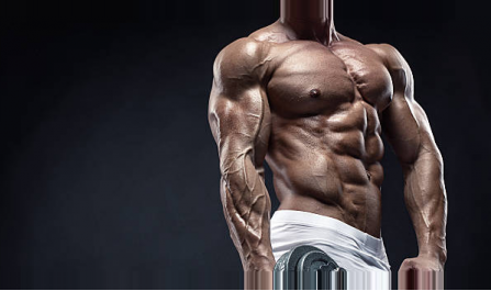 Learn How Anabolic Steroids Work